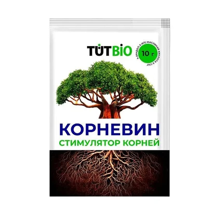 Корневин