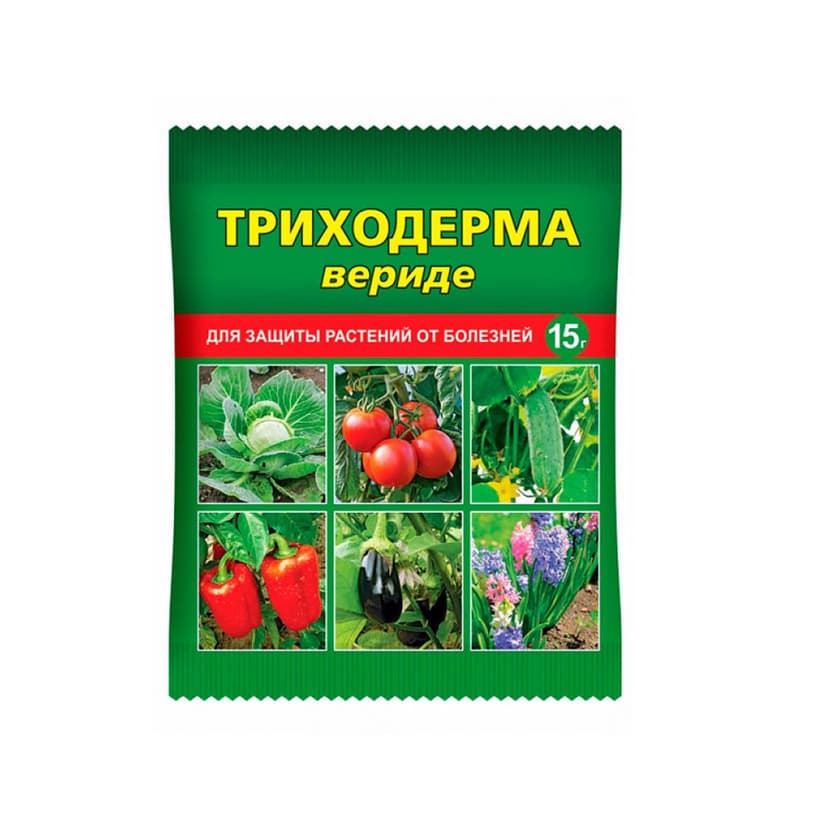  Триходерма Вериде 