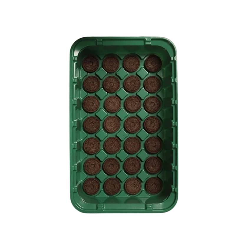 Минипарник с торфяными таблетками