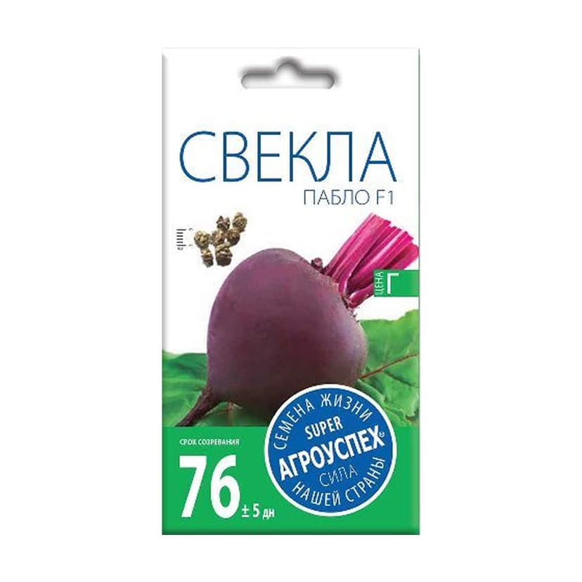 Свекла Пабло F1 Голландия