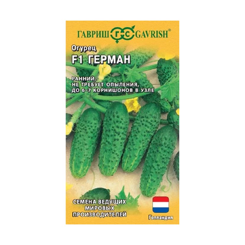 Огурец Герман F1 Голландия