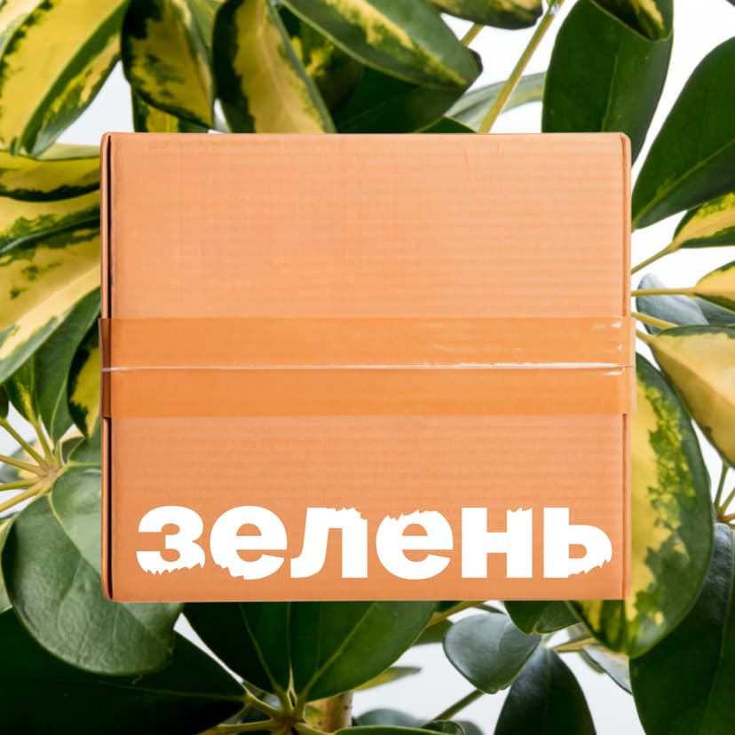 Набор «Декоративно-лиственные»