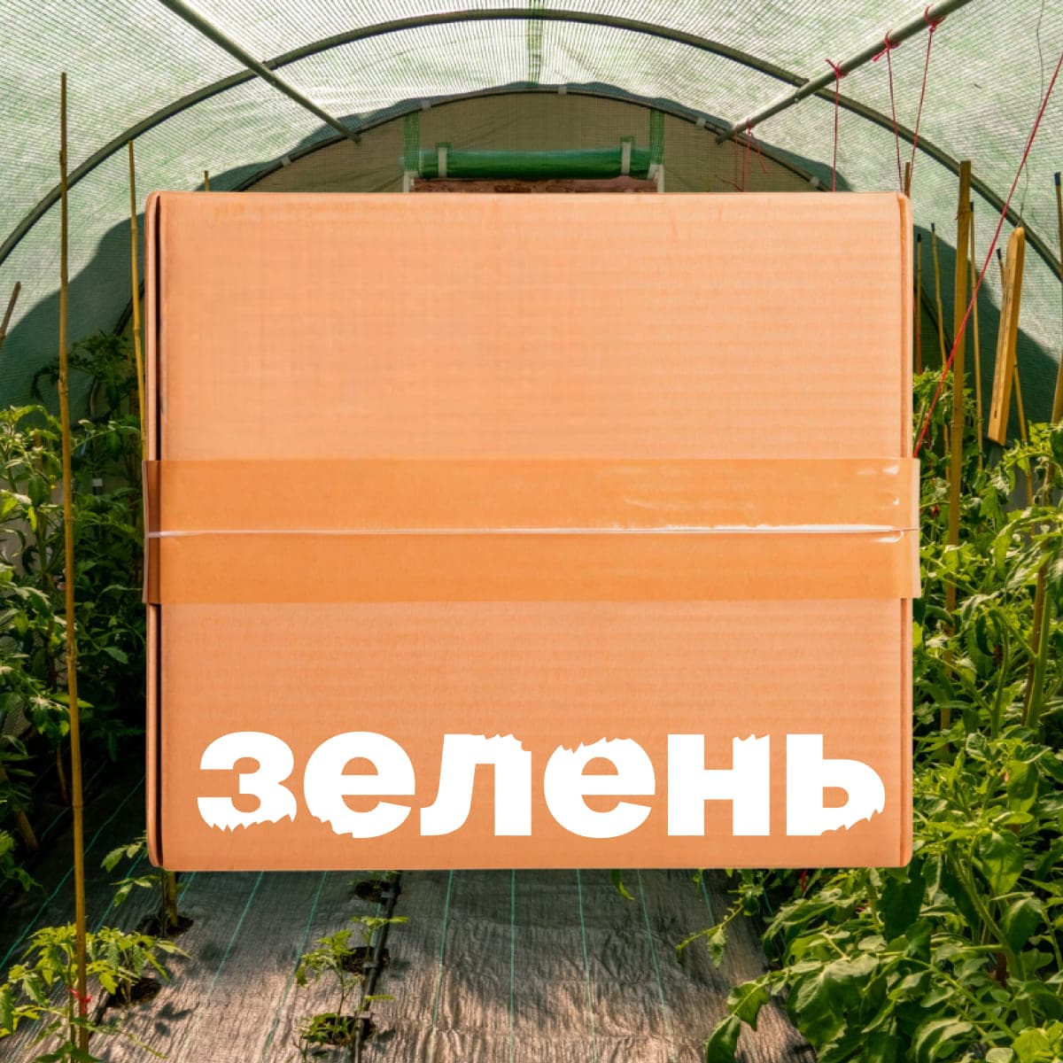 Набор «Аптечка для теплицы»