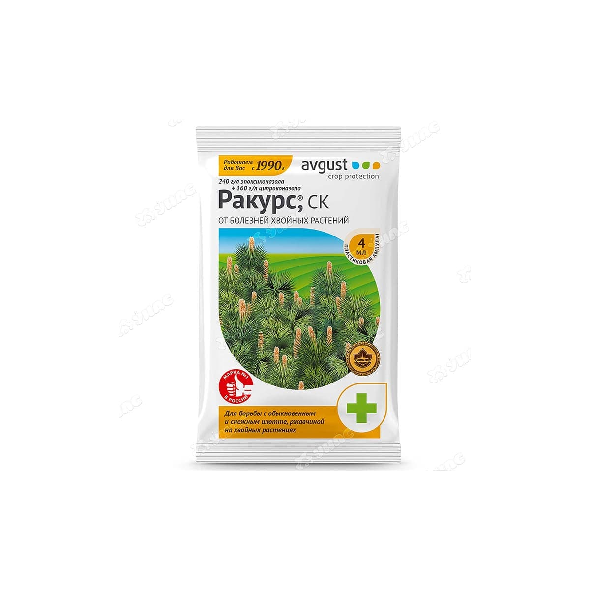 Ракурс (хвойные)